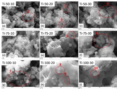 Image result for TiO2 Pfotes Sebs