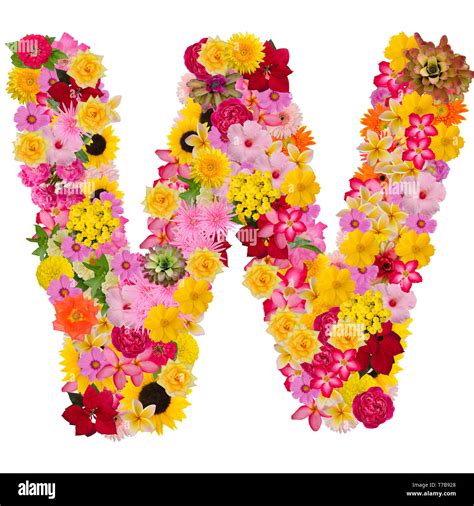 Letter W Design