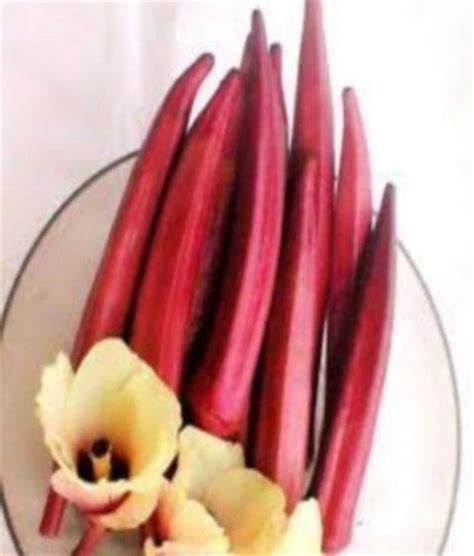 Red Lady Finger Seeds | SOUL SOCIETY FOR ORGANIC FARMING