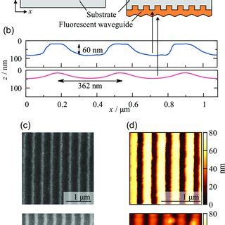Image result for Struct Device