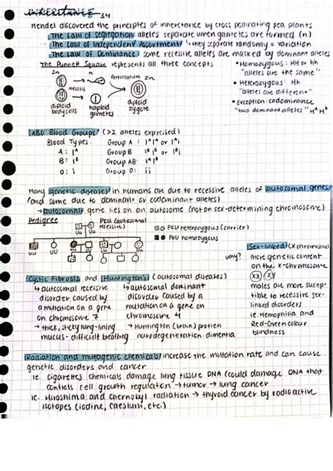 2022-24 In-depth Biology notes (45 pages) - Higher Level International Baccalaureate ...