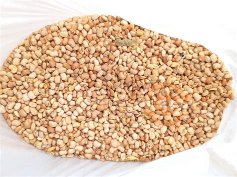 Bag of honey beans oloyin • 24 Hours Market | Lagos, Nigeria
