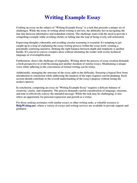 Image result for Essay Writing Samples