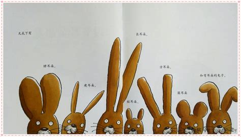 没有耳朵的兔子绘本故事完整图片在线观看_狸猫故事网