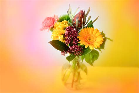 関連する画像の詳細をご覧ください。Center Spot Filters | センタースポットフィルター cokin作品集｜岡 田 茂 | ケンコー・トキナー