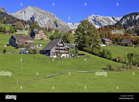 Alps Encoder 的图像结果