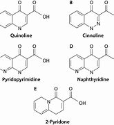 Image result for quinolones