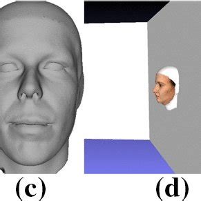 Image result for Warping Face Python