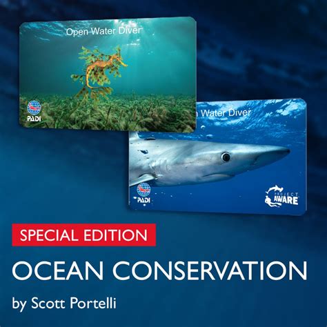 What Does Your PADI Card Say About You?