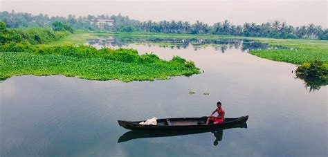 Unique Cultural Experiences to Indulge in During Kerala Backwaters tour
