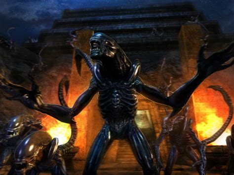 Image result for Alien vs Predator Evolution Walkthrough