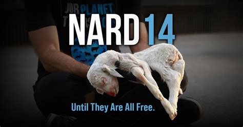 Pune National Animal Rights Day 2024, JM Road, Pune, 2 June 2024 ...