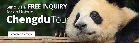 Chengdu Hotels: 6 Best Boutique Hotels, Great Locations