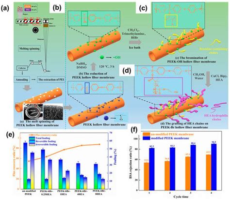 Optimized Polymeric Membranes for Water Treatment: Fabrication ...