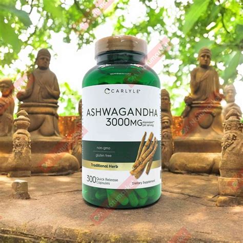 Ashwagandha Carlyle 3.000mg 300 cápsulas - DM Natumarket