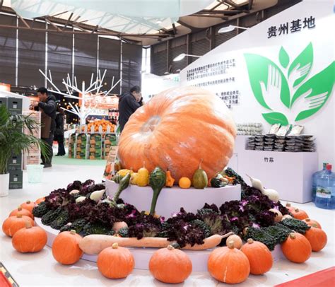 2020中国河南国际现代农业博览会 - 会展之窗