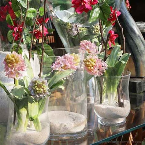 Cassiopeia Large Hyacinth Branch for | | Della