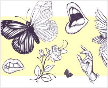 Draw! 的图像结果