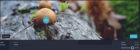 How Lossless Compression Works 的图像结果