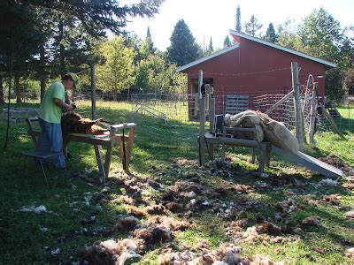 Image result for Shearing Table