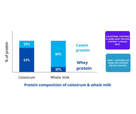 Choosing the Best Dairy Protein for Calf Milk Formulas – Delmer Group