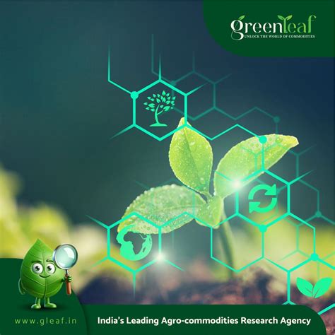 India's Renewable Energy Capacity Hits 200 GW Milestone