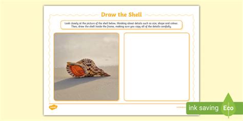Draw a Shell Art Activity,beach art,shell,seashells - Twinkl