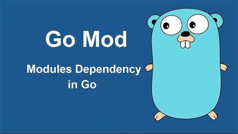 Go JSON V2 Example 的图像结果