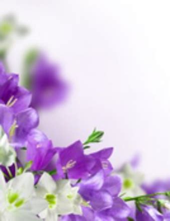 April Barnes - 2025 - Dante Jelks Funeral Home LLC.