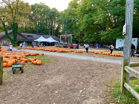 Powers Farm Market – Pittsford, NY | Adventures in New York