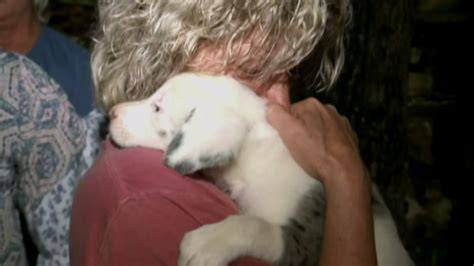 Crews rescue deaf puppy stuck in hole in Alabama | FOX 10 Phoenix