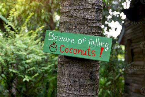 green painted wooden sign mounted on coconut tree Write a message in English that says Beware of ...
