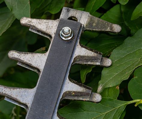 How to sharpen hedge trimmer blades safely and quickly | Homes and Gardens