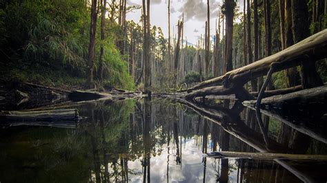 Environment Desktop Wallpaper 的图像结果