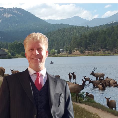 Evergreen Colorado Elk – Where to See Them – What to Do Around Them ...