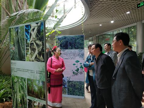 版纳植物园举办2018年“自然之兰——大自然的馈赠”兰花展----中国科学院昆明分院