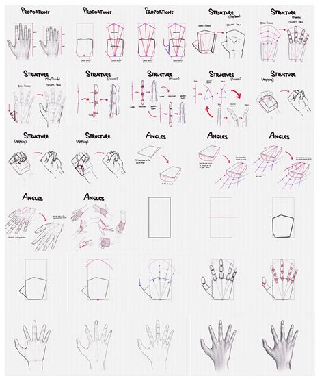 How to Draw a Front View of Hand 的图像结果