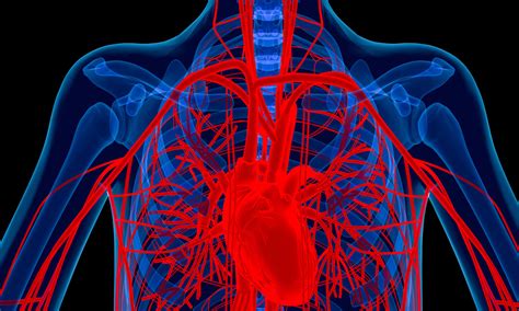High dosage RAS blockade linked to improved survival after TAVR, finds ...