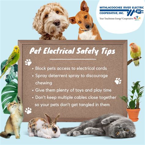 Withlacoochee River Electric Cooperative, Inc. on LinkedIn: #wreccoop