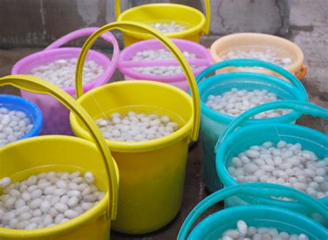 D'source Making Process | Silk Reeling | D'Source Digital Online ...