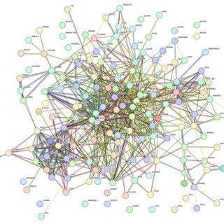 String Spring 的图像结果