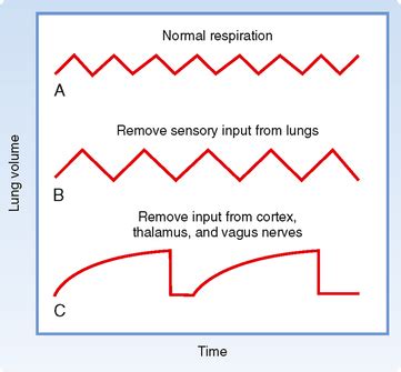 Image result for Programming Nspiration Control