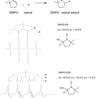 Dmpo H2O2 的图像结果
