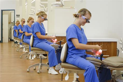 Associate of Science – Dental Hygienist Degree – Lanier Technical College