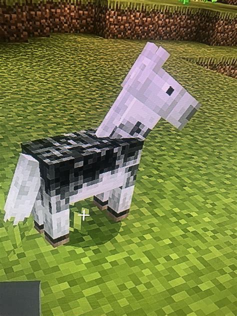Rare Horses In Minecraft