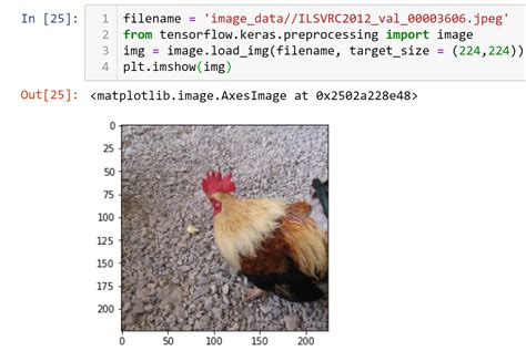 Image result for Image Classification Python Example Image