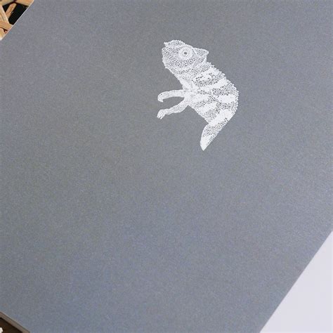 Gecko - The Wilderness Series Notebook | Boxyfont – boxyfont