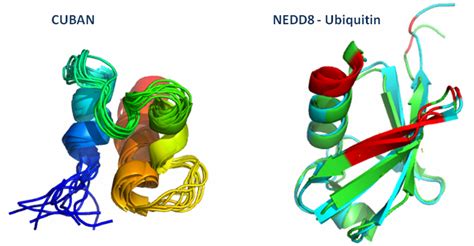 CUBAN, a Case Study of Selective Binding: Structural Details of the ...