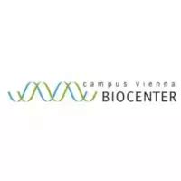 Vienna Biocenter scholarships 2026-27 [Updated]