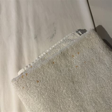 ZERENO (Tulum) - Apartment Reviews, Photos, Rate Comparison - Tripadvisor